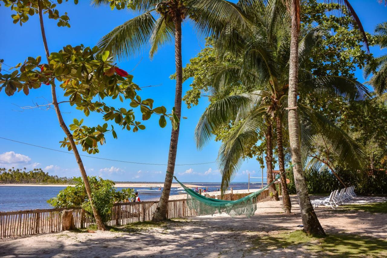Pousada Vila Palma Boipeba Velha Boipeba エクステリア 写真