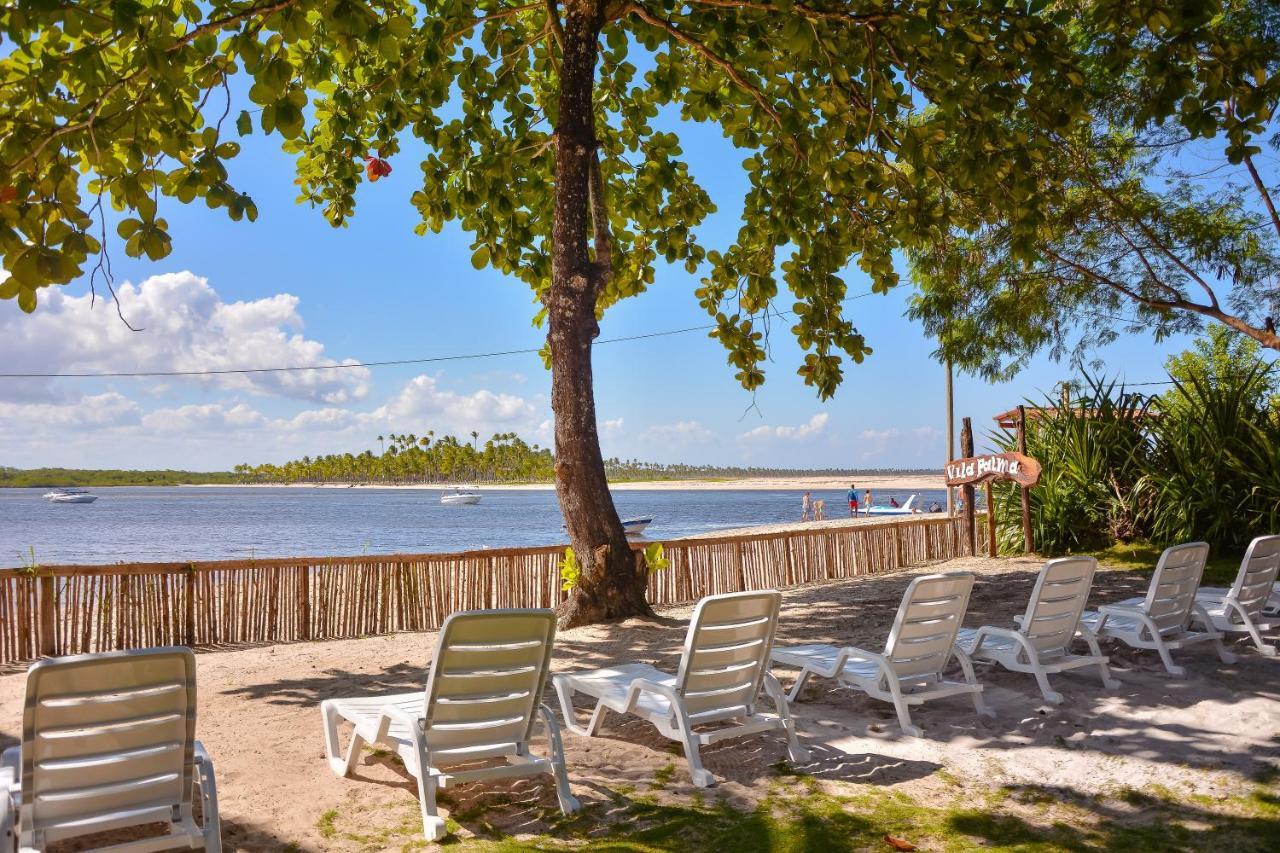 Pousada Vila Palma Boipeba Velha Boipeba エクステリア 写真