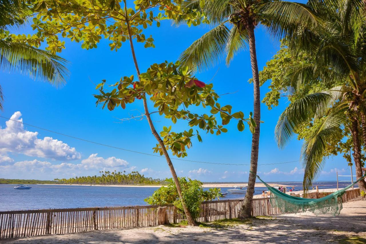 Pousada Vila Palma Boipeba Velha Boipeba エクステリア 写真