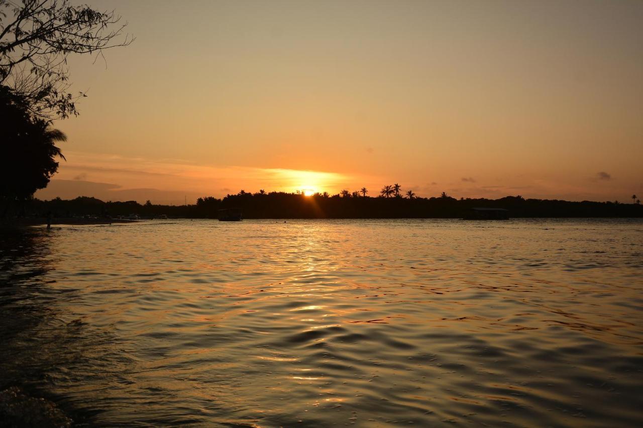 Pousada Vila Palma Boipeba Velha Boipeba エクステリア 写真