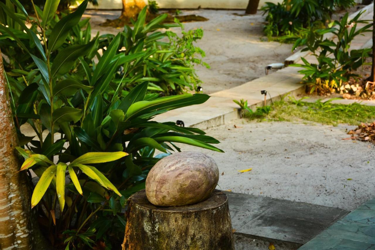 Pousada Vila Palma Boipeba Velha Boipeba エクステリア 写真